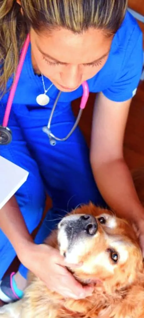 Médica veterinaria revisando a un perro en la clínica de The Place's